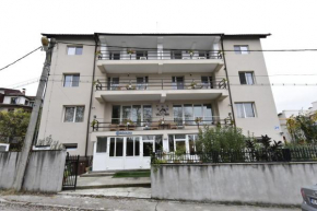 Отель Vila Victoria  Рымнику Вылча 